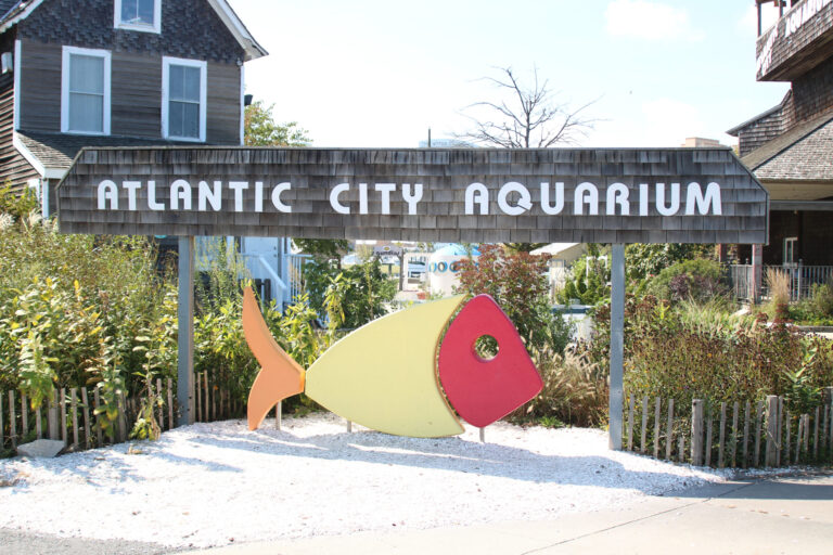 Atlantic City Aquarium to Reopen in July 2024” – Neckies Great Adventures